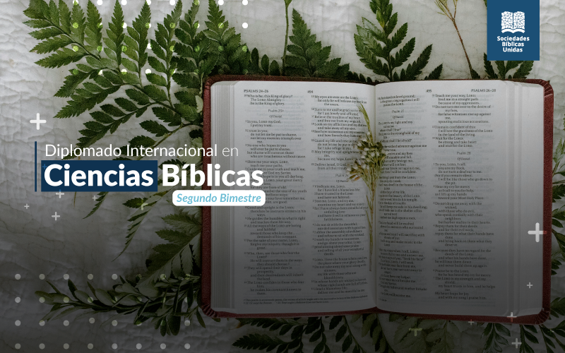 Traducción de la Biblia
